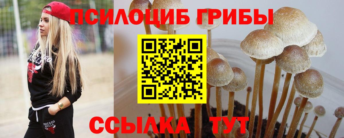 Дзержинск  Галлюциногенные грибы прущие грибы  Вход с VPN 